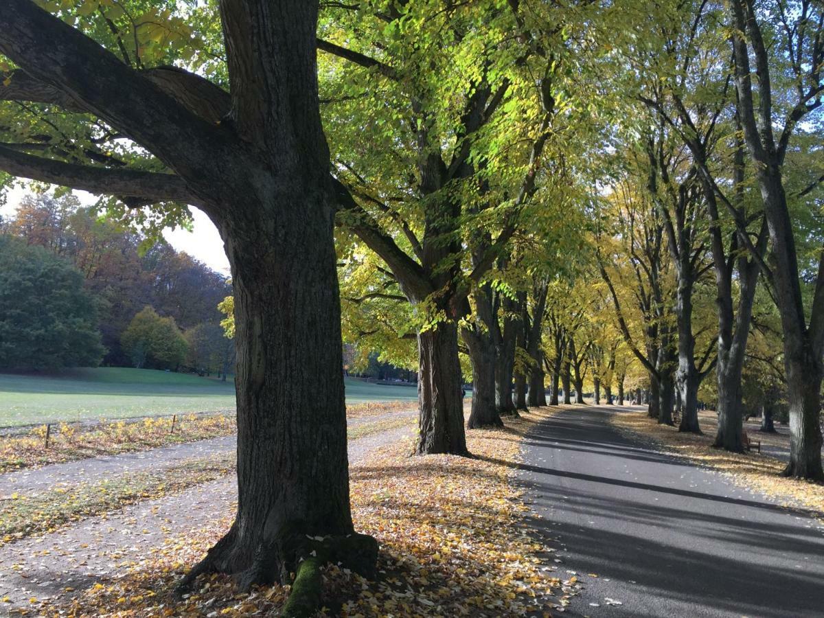 Suite Mit Blick Auf Die Lichtentaler Allee Baden-Baden Exteriér fotografie