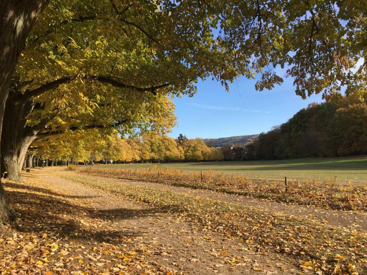 Suite Mit Blick Auf Die Lichtentaler Allee Baden-Baden Exteriér fotografie